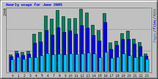 Hourly usage for June 2005