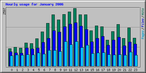 Hourly usage for January 2006