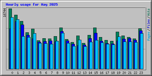 Hourly usage for May 2025