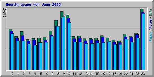 Hourly usage for June 2025