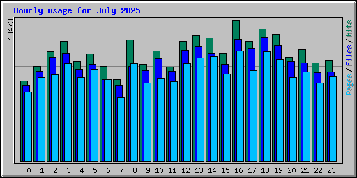 Hourly usage for July 2025