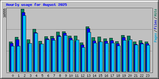 Hourly usage for August 2025
