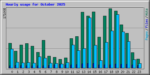 Hourly usage for October 2025