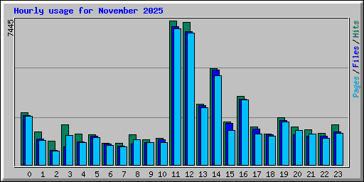 Hourly usage for November 2025