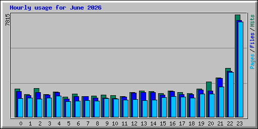 Hourly usage for June 2026